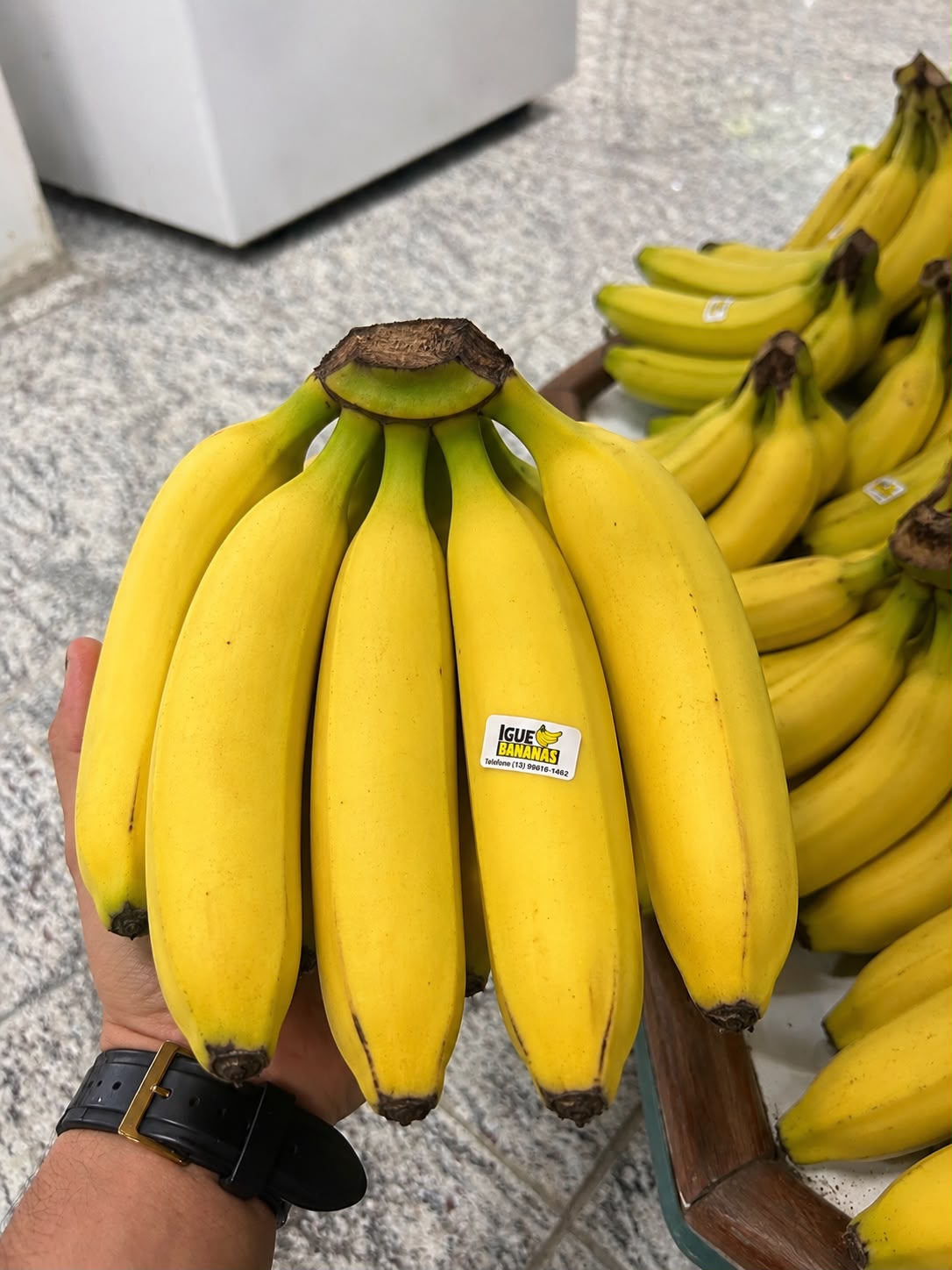 Cachos de banana nanica frescos da Igue Bananas