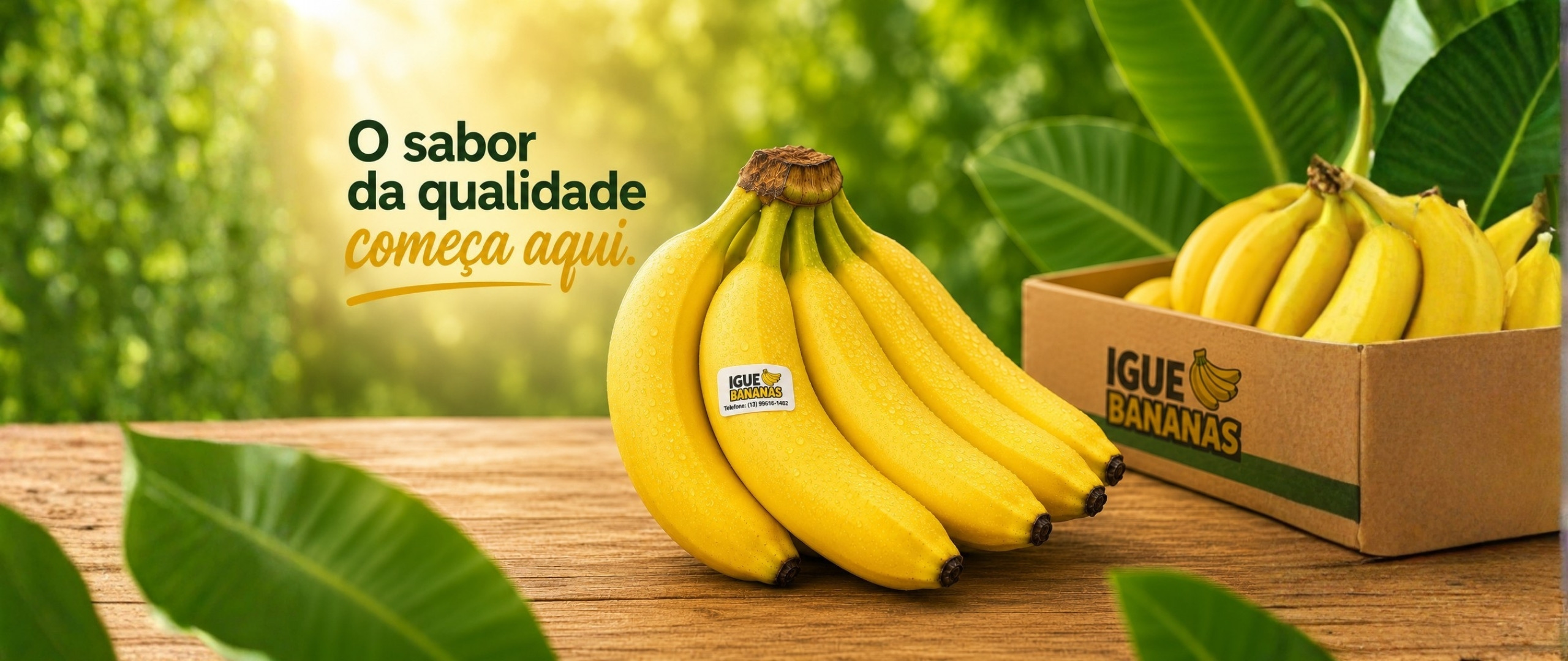 Cacho de banana prata da Igue Bananas com a caixa da marca — o sabor da qualidade começa aqui